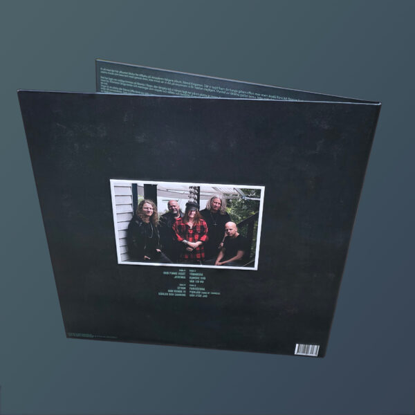 Stygn Double Vinyl - Image 2
